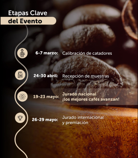 etapas claves 