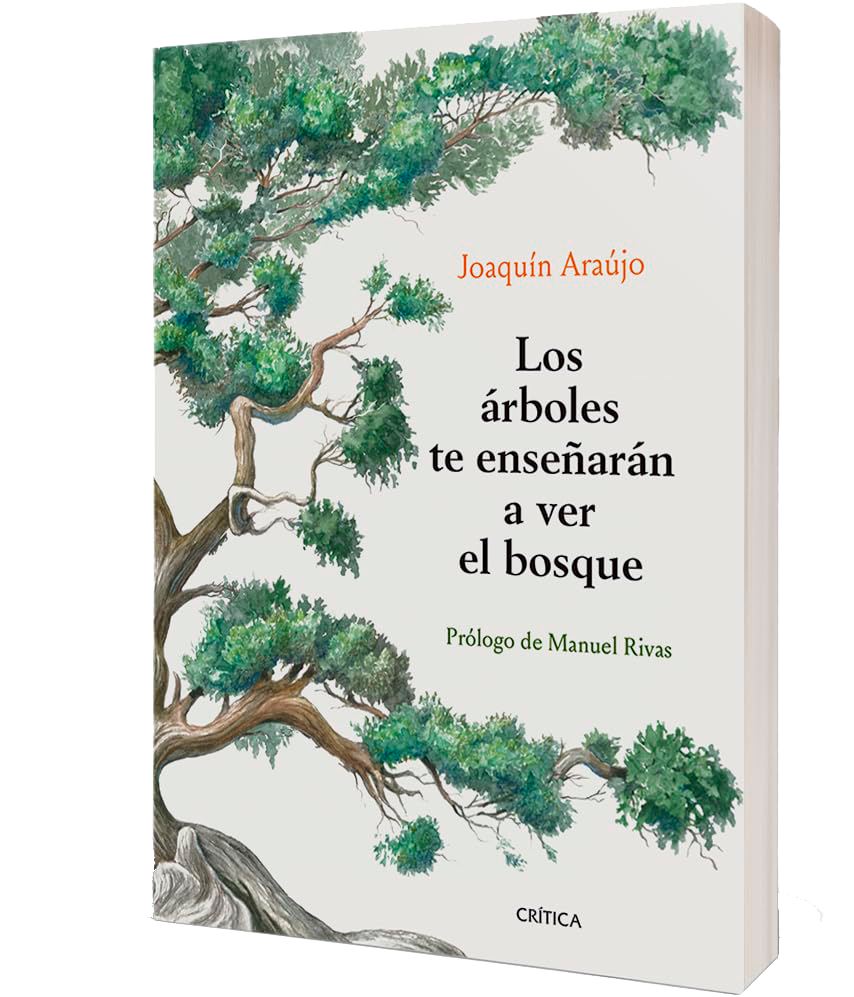 Libro los arboles te enseñaron a ver el bosque